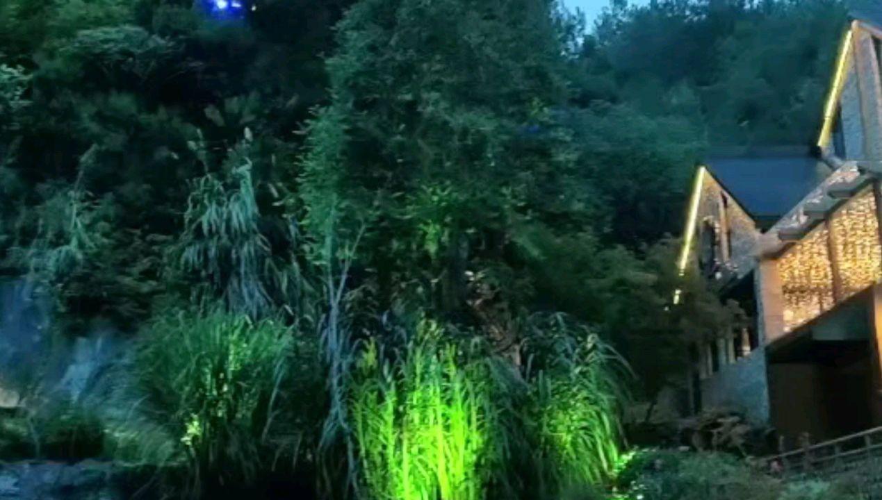 暗黑精灵幽影重重